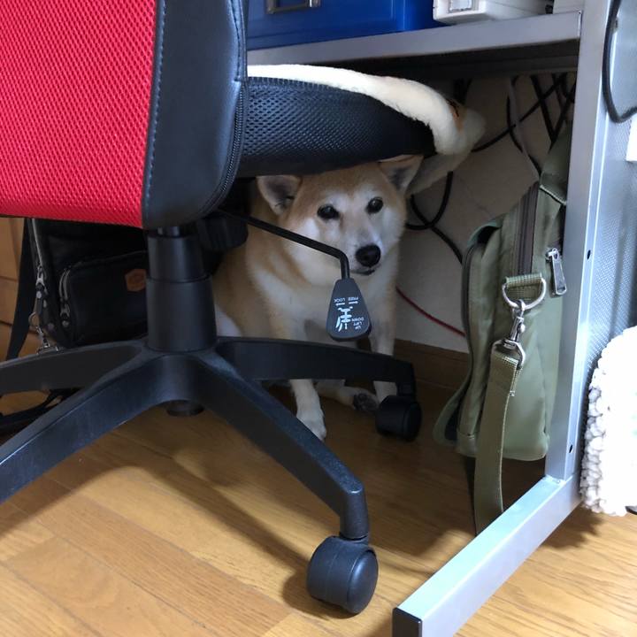 949c537b f314 46ed 99d0 fb24b58450b1 1563764474943