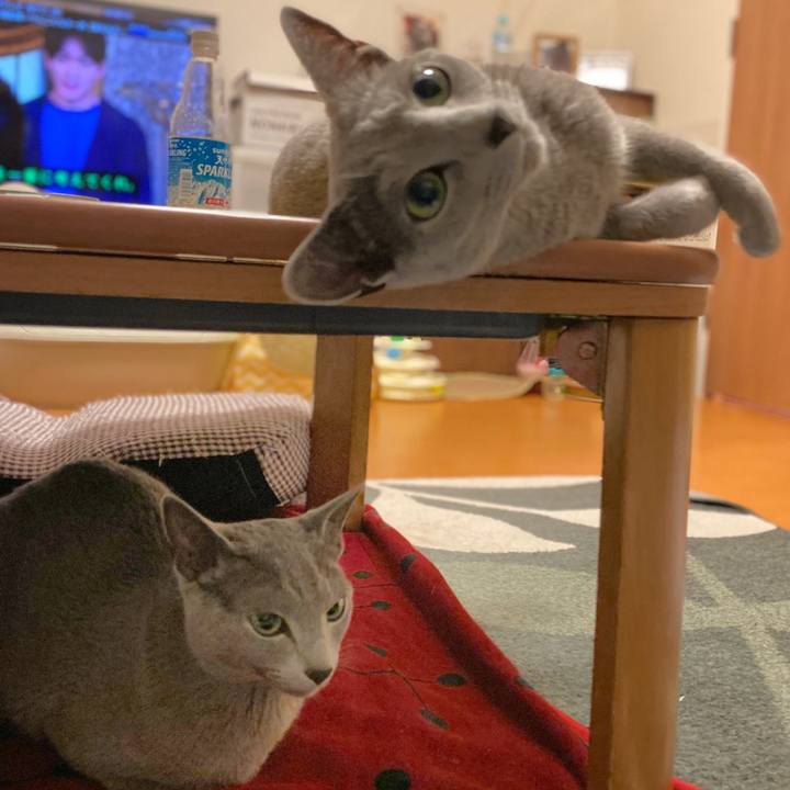 949c53a8 f6a0 4230 ae6b 3f02b9557ef4 1653015373088