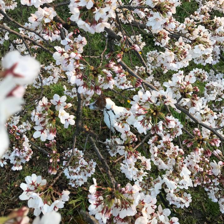 949c62ac 0578 40b1 9b48 db4df11989f5 1521970148762