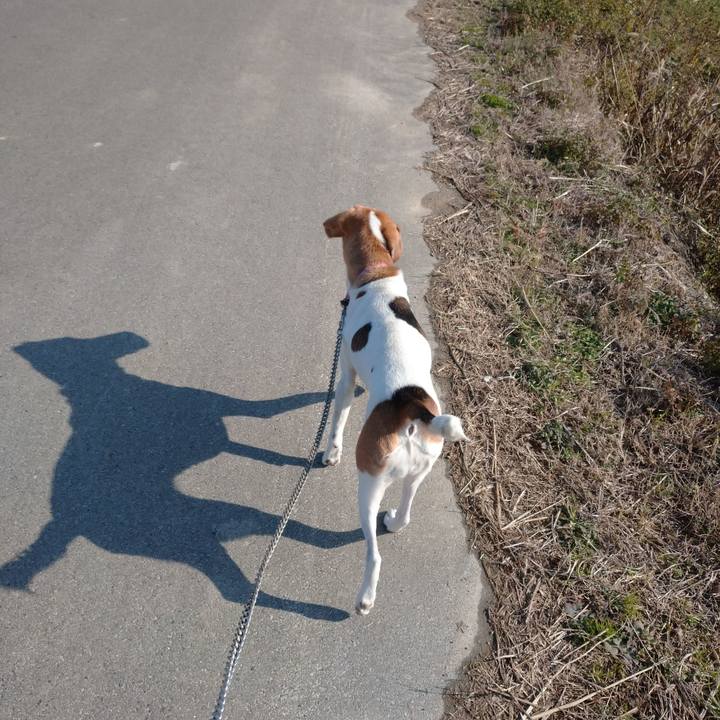 949c9f75 fd10 42de 9f9d 489175d37245 1577074774066