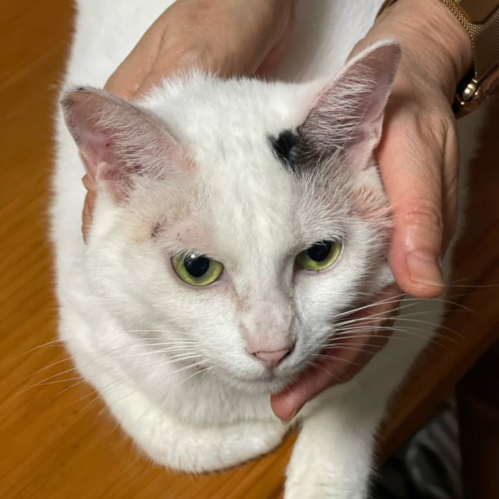 949ca382 3a49 4b3d b257 ee575fd62499 1757217094327