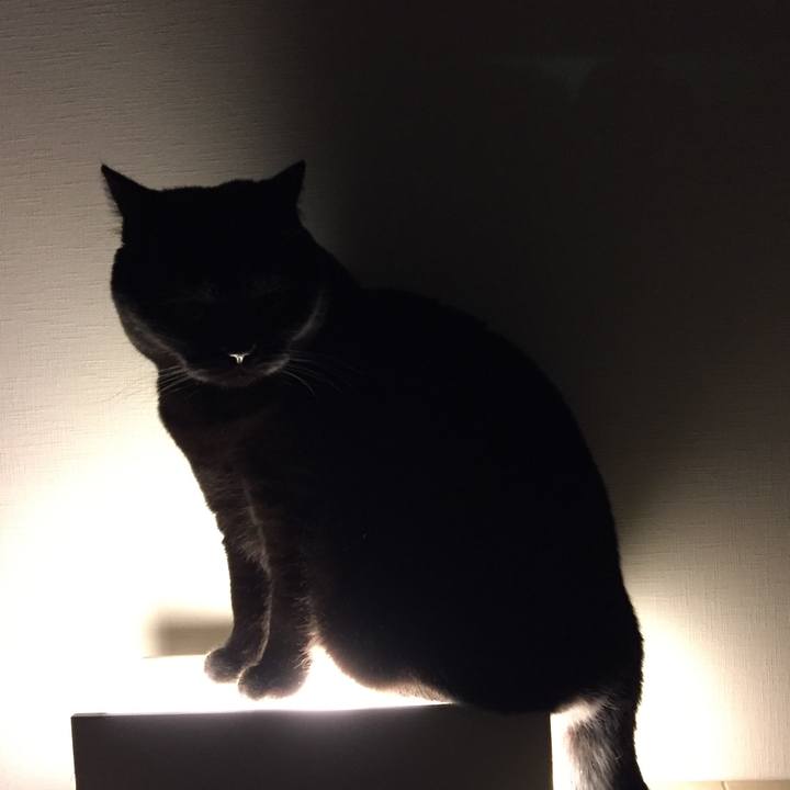 949cbe81 6d5e 4bd4 9ba9 df5ece6a2a08 1519996534429