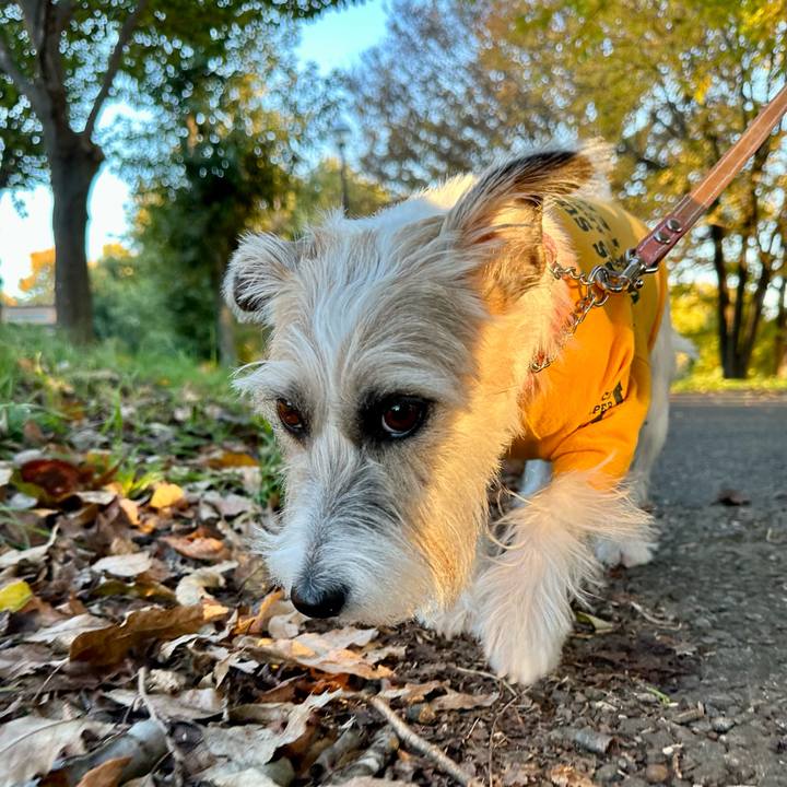 949cc231 cfb5 4ef7 84d3 ef195373d63a 1700392709253