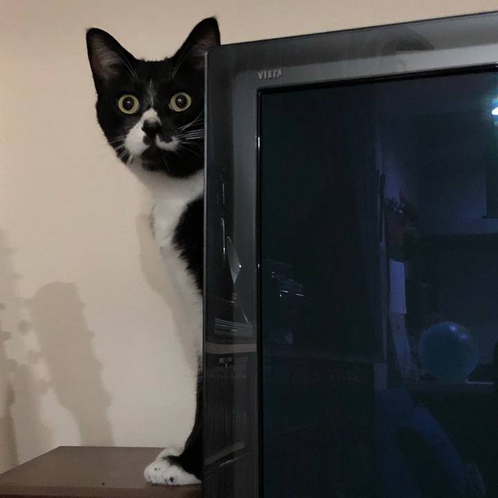 949ccc94 5404 45c9 920f 2ad463c0c8ff 1569987513867