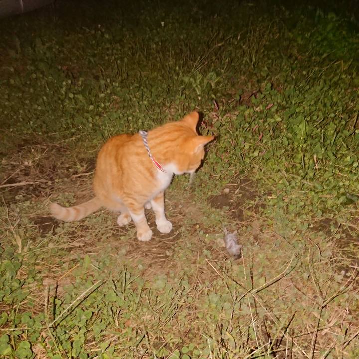 949ce212 6bec 45c3 a9d0 8c05d99ea811 1570438827156