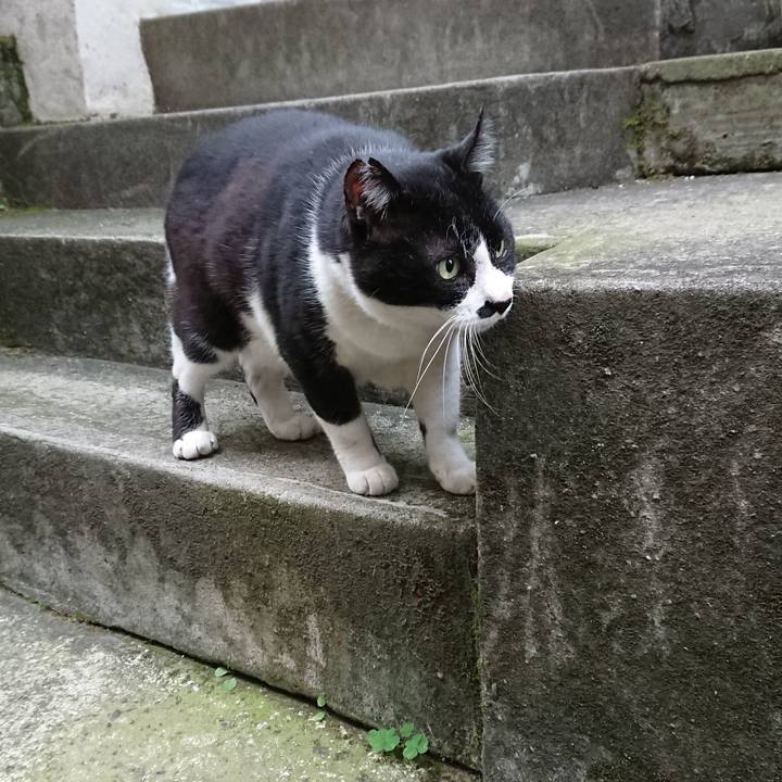 949d0338 f110 4729 87c4 be06abcb7361 1543912522417