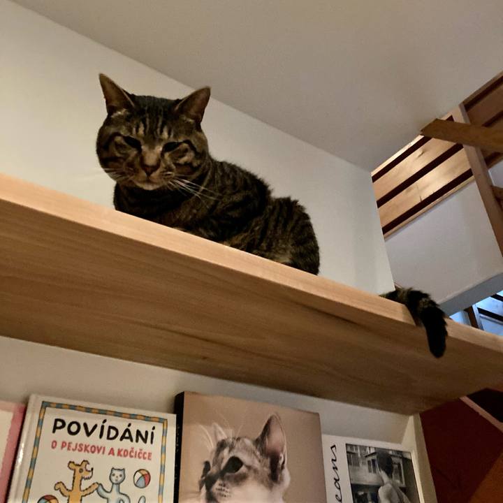 949d33cf e5a9 4ef3 8af8 6656a4bf3d49 1686404200457