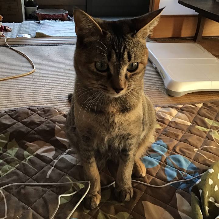 949d5605 f5cf 4e4b 9b6f c45045ae2f88 1584518520897