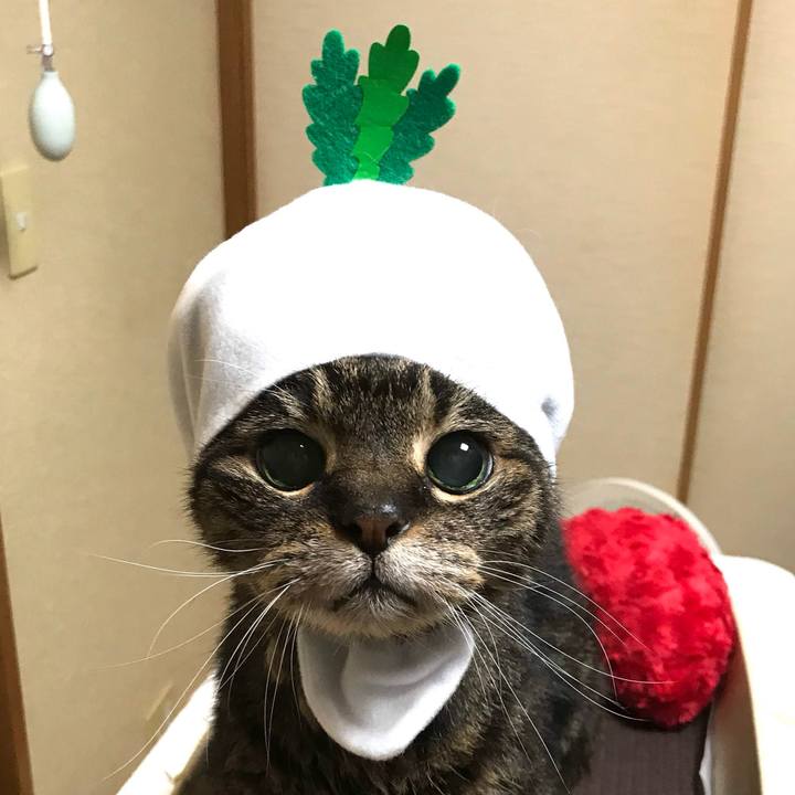 949d5b7f 481f 4d92 86b2 765ff153b13a 1764079595053