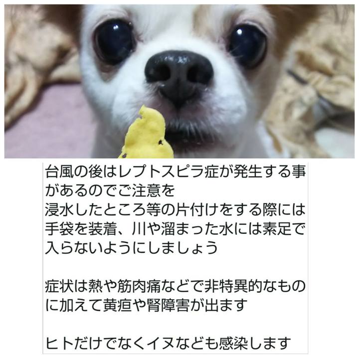 949dca95 5096 4418 8372 5ff7d1751680 1570930833499