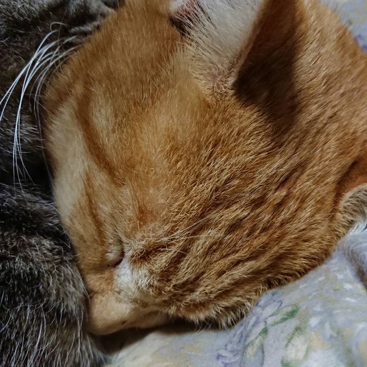 949df473 2b42 44f1 8640 b3be22842f58 1579781525068