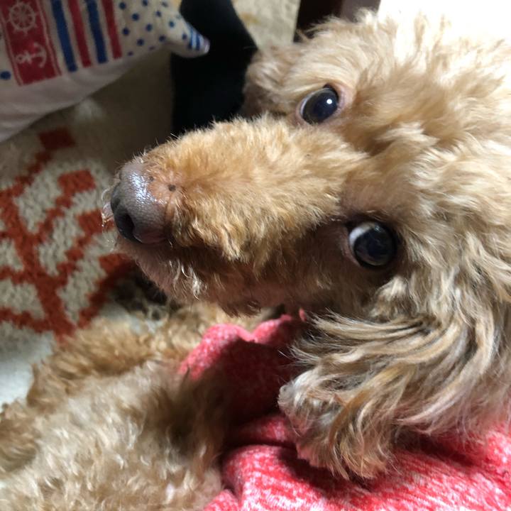 949e179b cbeb 4835 a833 03bc0e500671 1610683682143