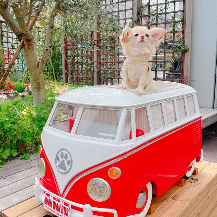 949e2d10 6bb9 4ab4 8449 3f42aa300f0b 1647860611437