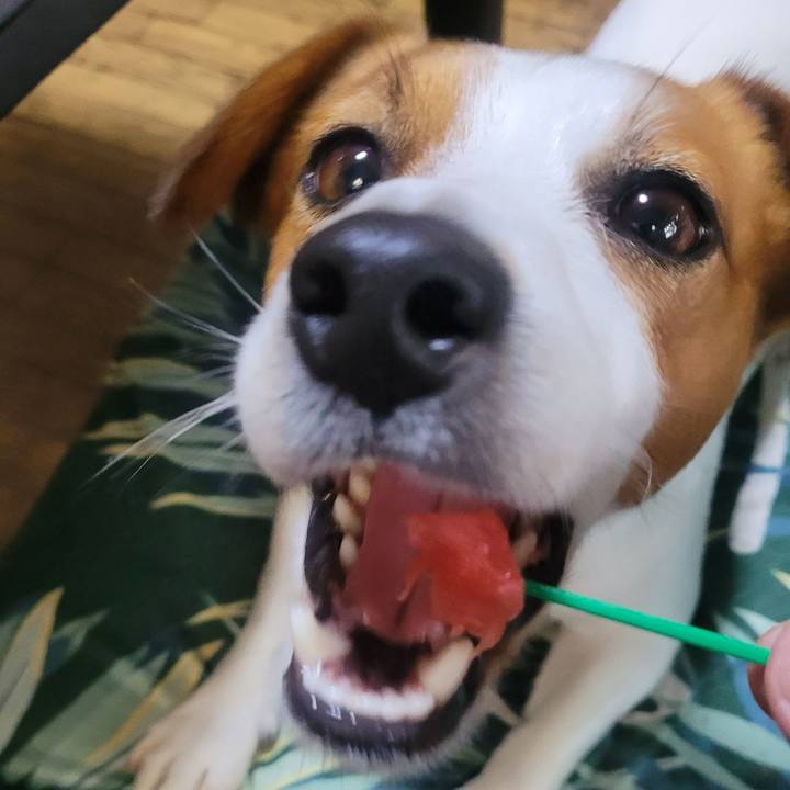 949e77c7 43f6 4507 80aa 5b0d052dfbbd 1653905289046