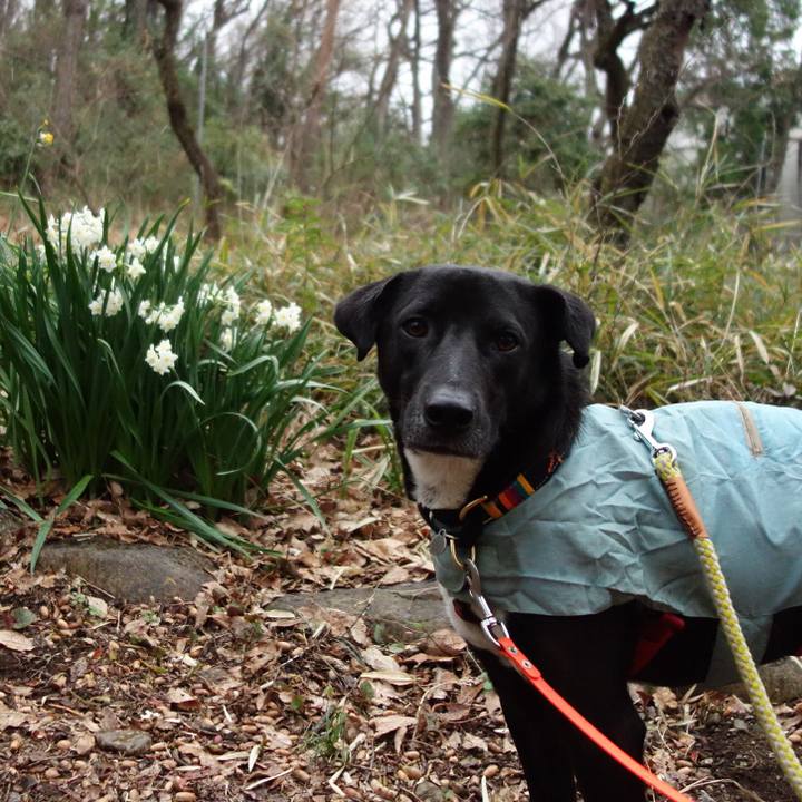 949e7a2c c89a 4da6 a149 4633a6ee6645 1584144202595