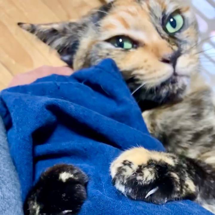 949ef581 f41f 4060 bbd1 a9487ce47eff 1732736040418