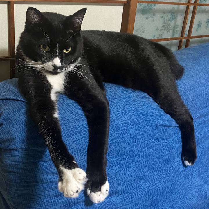 949ef7af f517 453c 8137 53e982acf356 1727321586092