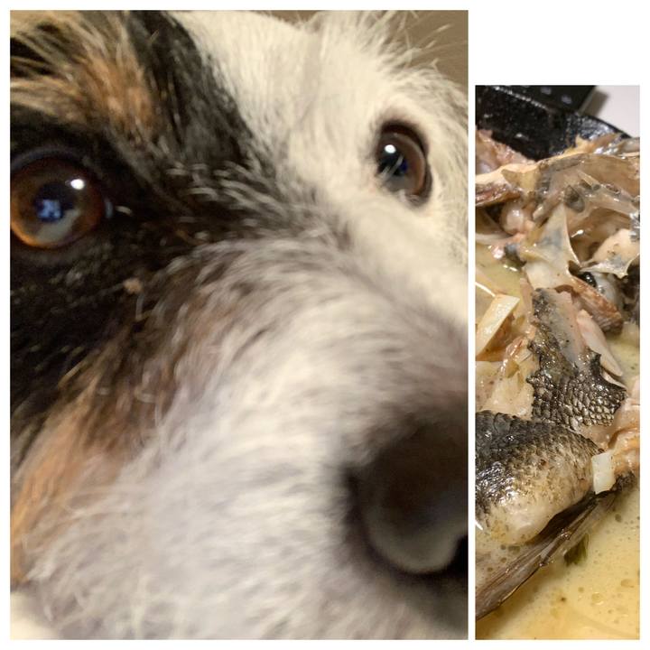 949efe77 50d3 49dd b61d 1a89add87c6f 1581416492269