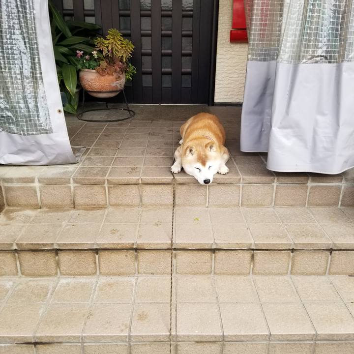 949f0073 3f22 4bde 9a56 72f0fb150058 1738384436852