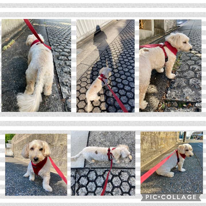 949f25ea 0d2f 48e8 8251 850b4bf21489 1761994426481