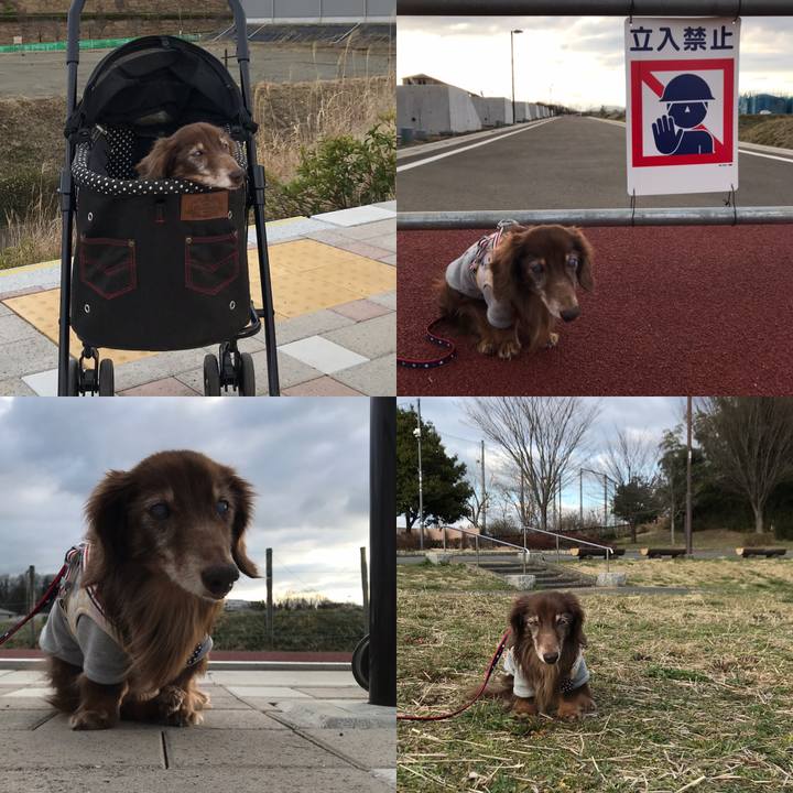 949f3fb1 32ae 4477 9ca0 a28c10a10e0b 1583742174463