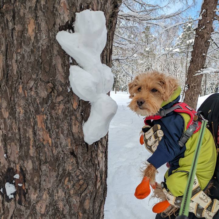 949f6397 8cf7 4ec1 866c cea6d73cadf0 1710037420384