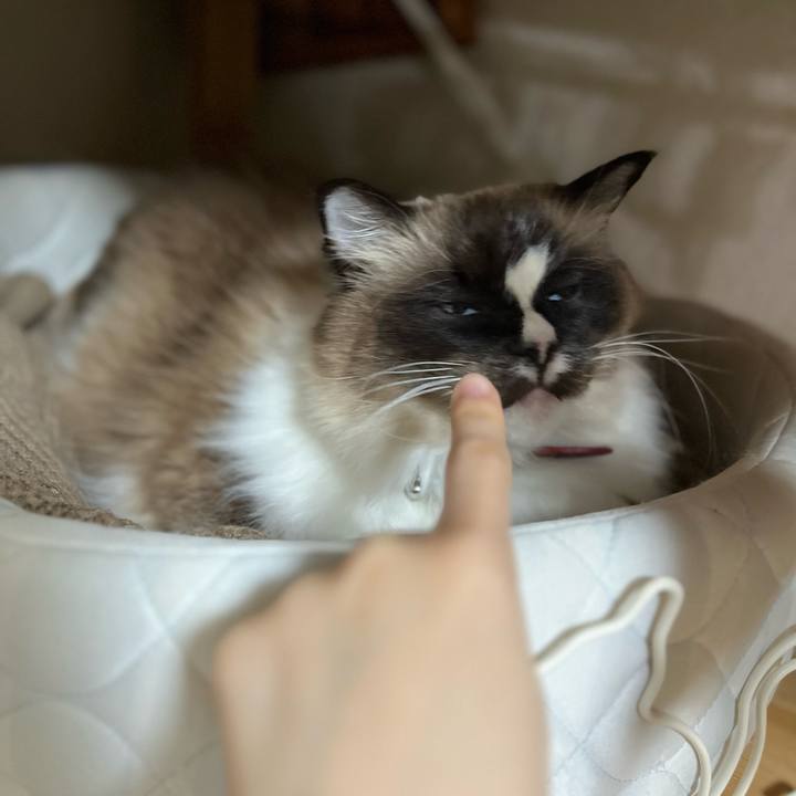 949f6e97 e8d8 47c4 950c 56d761b60544 1676632661889