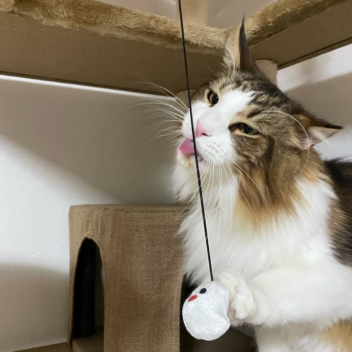 949f7590 eb3c 4788 b39f c7582f4cda5a 1666641108484