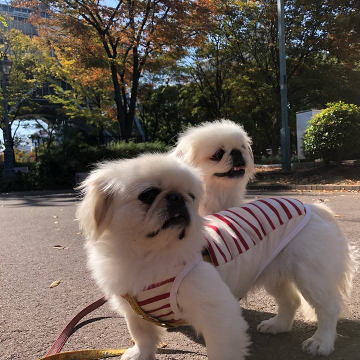 949f8e4c 3019 40a2 98d0 bdc471b64b7a 1541820712173