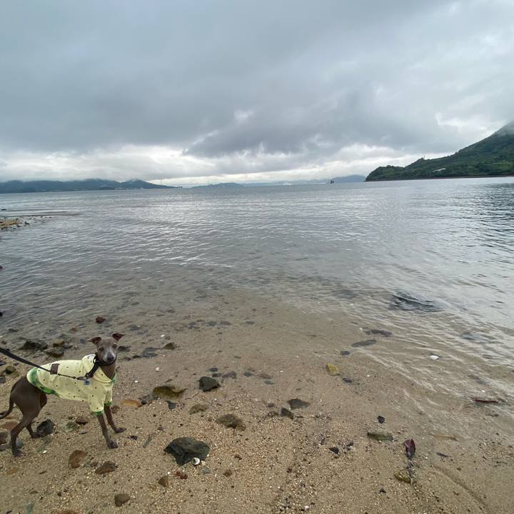 949f97a3 7f52 4cf8 8ec4 73e8ab2423c3 1758974090303