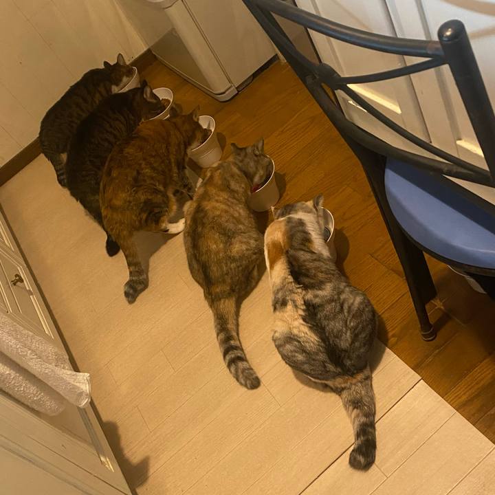 949fd059 0ab5 4e27 b132 93b979d8c384 1699078220328