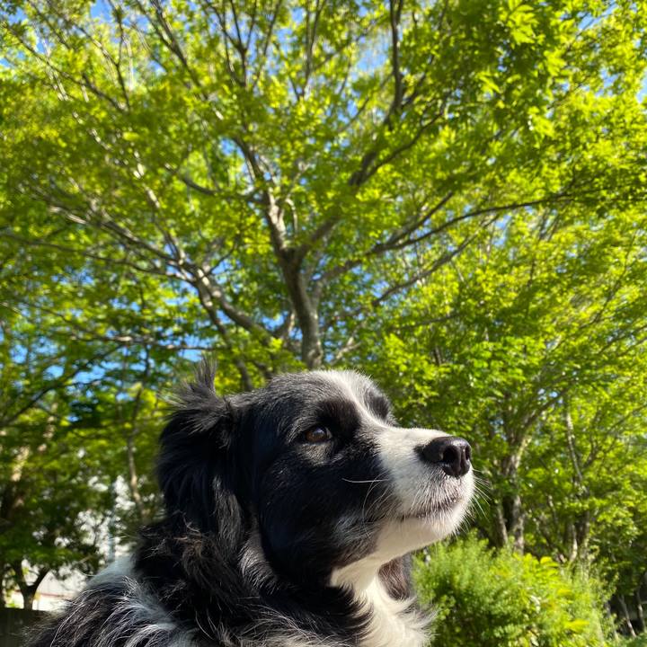 949fdd23 a809 4bb5 889f 694ed513f505 1589929601544