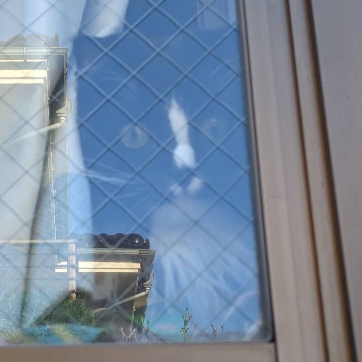 949fe018 56f3 41cd 91f5 447cdaa12e24 1698101455038