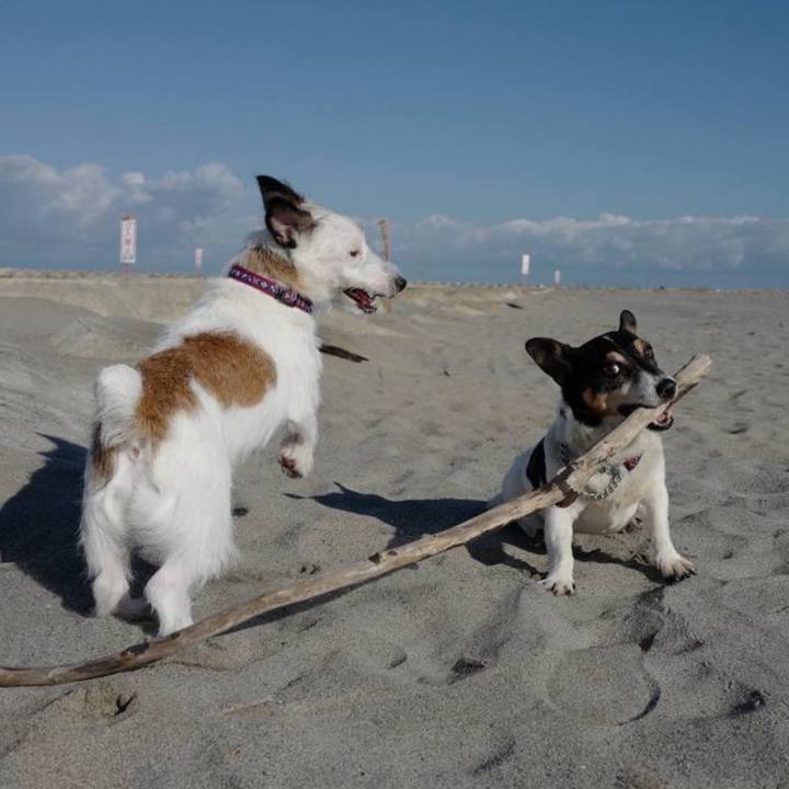 94a00a11 4af1 4f16 b081 5e3a7ae9140d 1725404999401