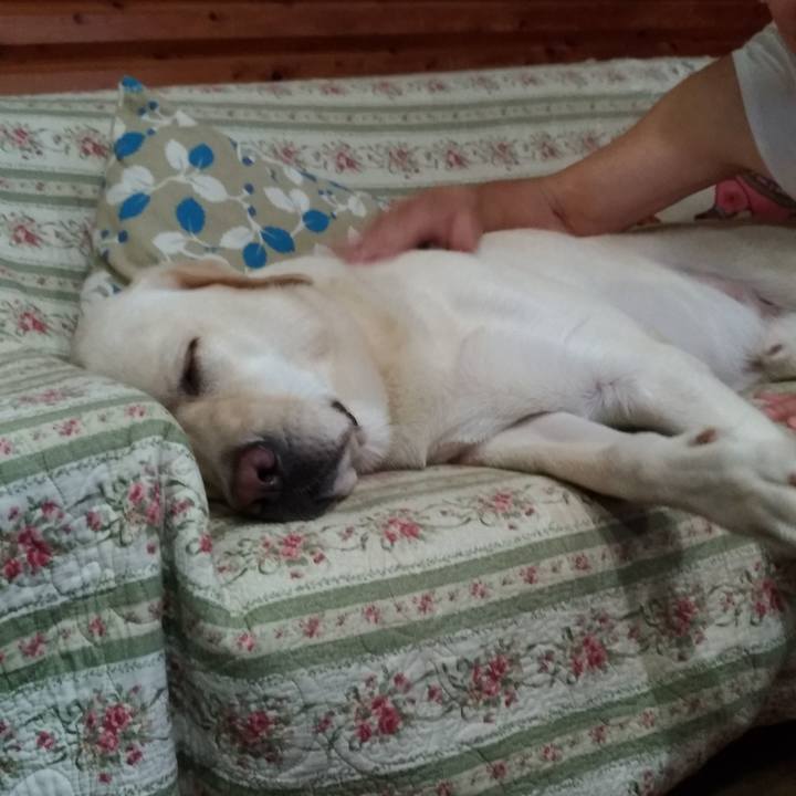 94a01fcb bab3 45e6 aaf0 43c380393b49 1536408459138