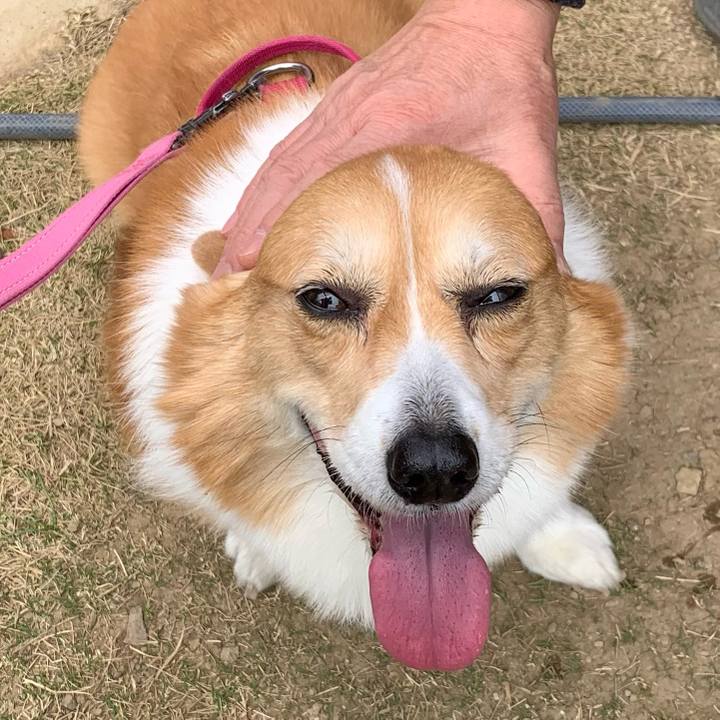 94a03698 ab08 4f69 94b1 3e23559c3f98 1710644676068