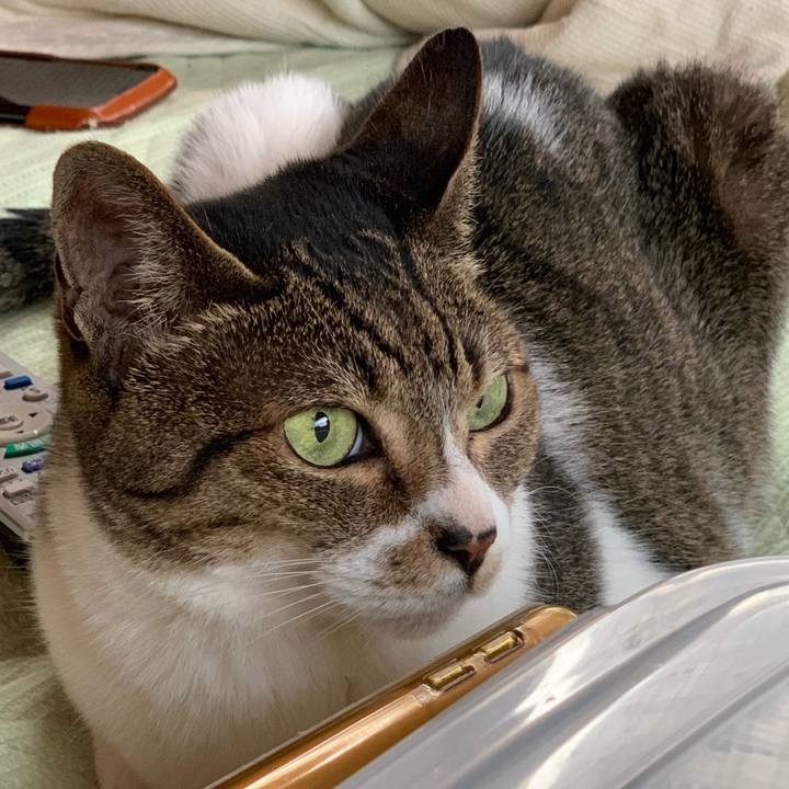 94a0380e ed5d 4daa a73c 5c1cf7e5db6b 1559695738242