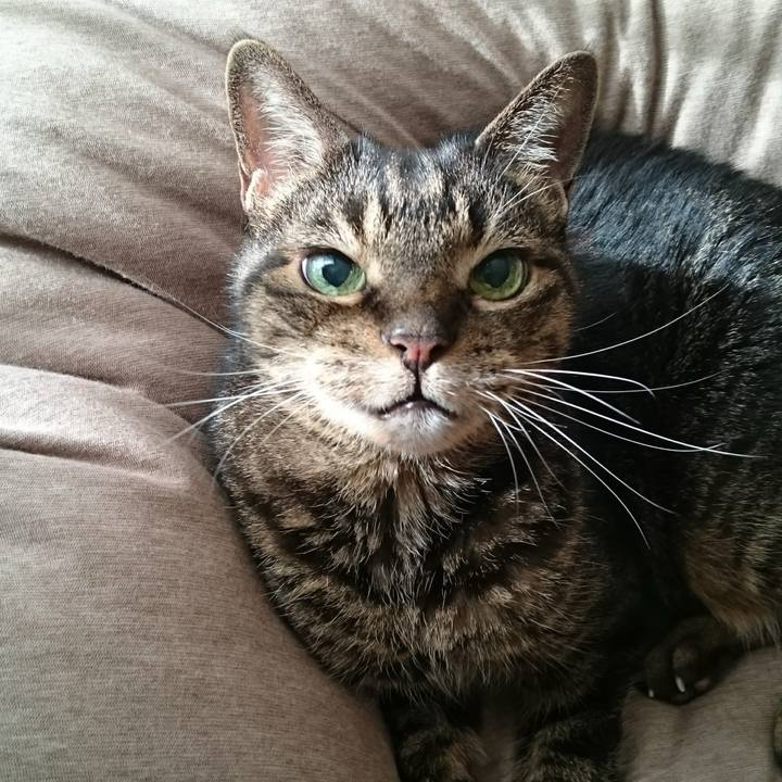 94a0a2aa b838 4639 807a e2c13bdff364 1764070574060