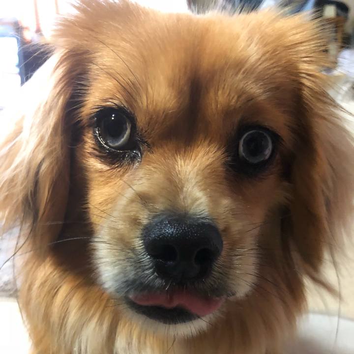 94a0bbf4 d507 4b1b 897c b76aed053287 1523060988418