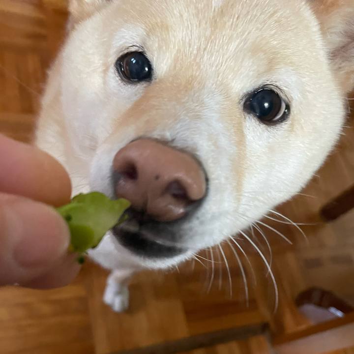 94a143d7 e597 43a2 9820 9cd49c1a64b1 1683885780607