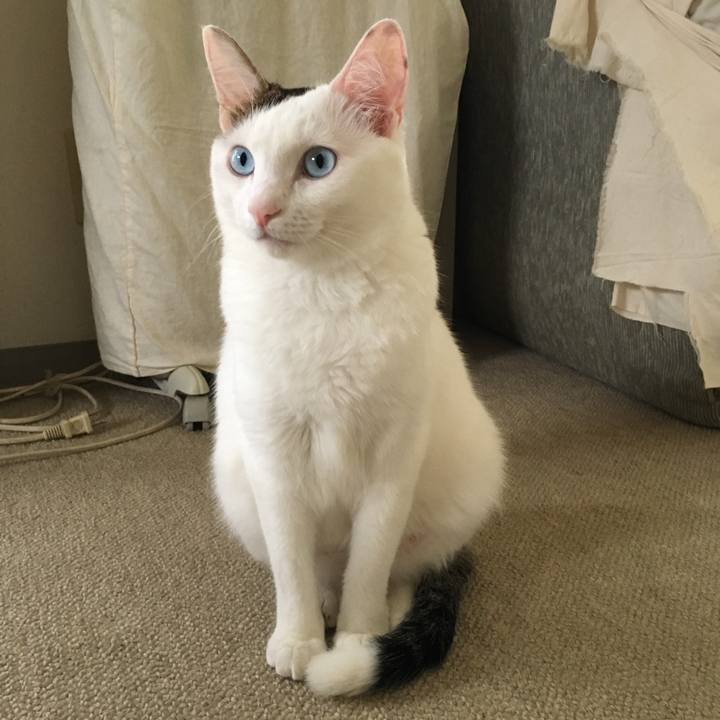 94a171d5 8bb9 4b4b a3c2 b7bb60d36ac6 1538527481116