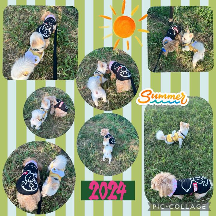 94a17a7b 5505 4d85 9b81 bee257f52a86 1723422129154