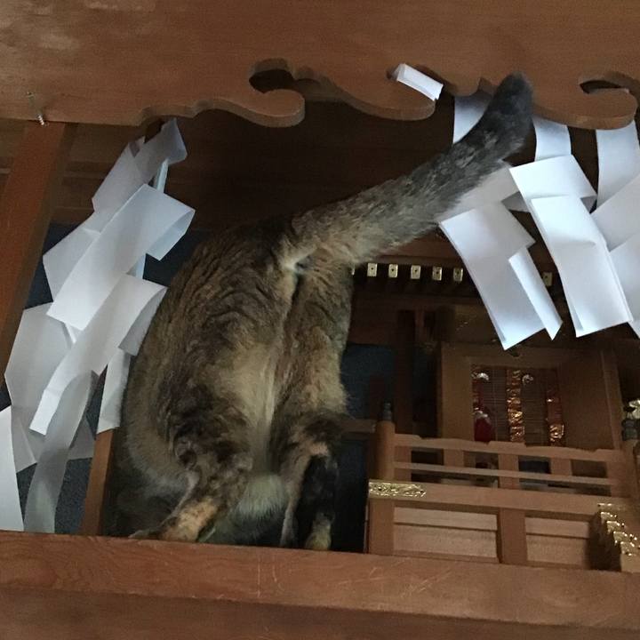 94a18fe2 9d96 4ba0 a580 0178a2ba365a 1717582719782