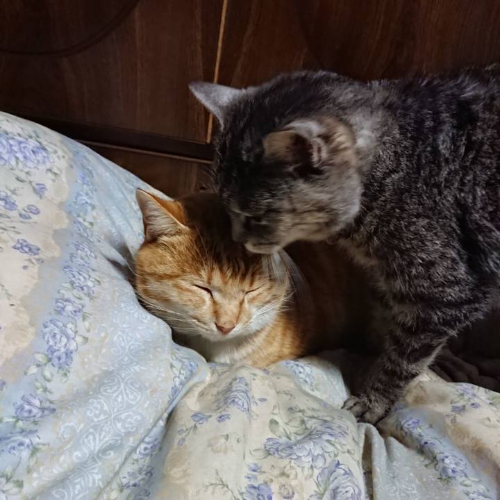 94a1a3be 5a6f 461d 9c3d 980770f39d73 1582200382109