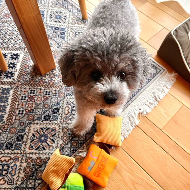 94a1b652 4228 427b b7e9 7672a6c5d81d 1774409448691