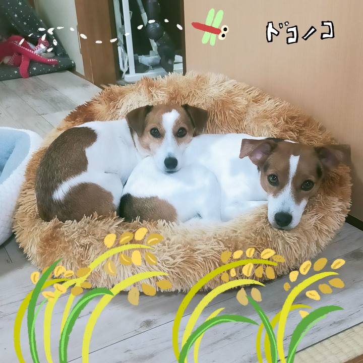 94a1bd28 3aa6 4a4a 9e75 5d0e68abef81 1761204713930