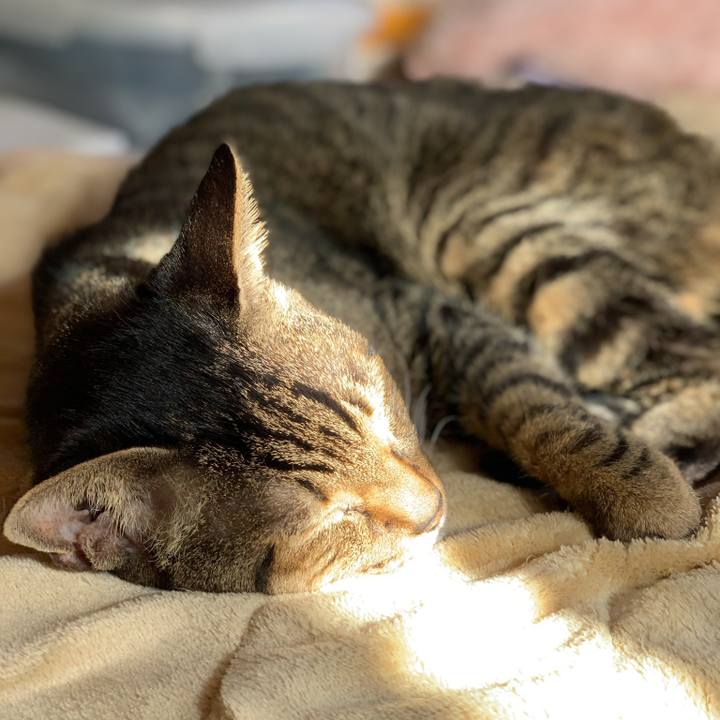 94a20b6d e2c2 471d a2be 8fcc2755f18b 1579483604051