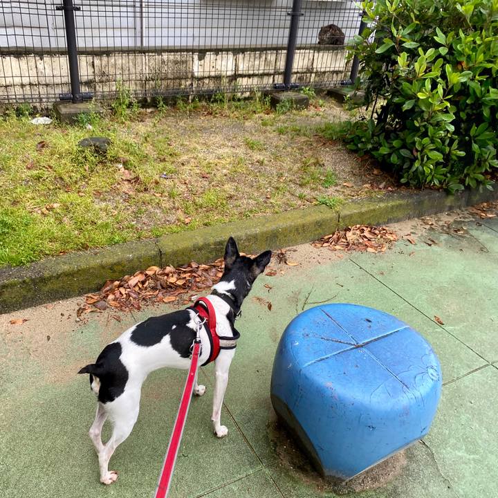 94a24ea6 8086 4a1f 9c35 fa951b6308b1 1589855986734