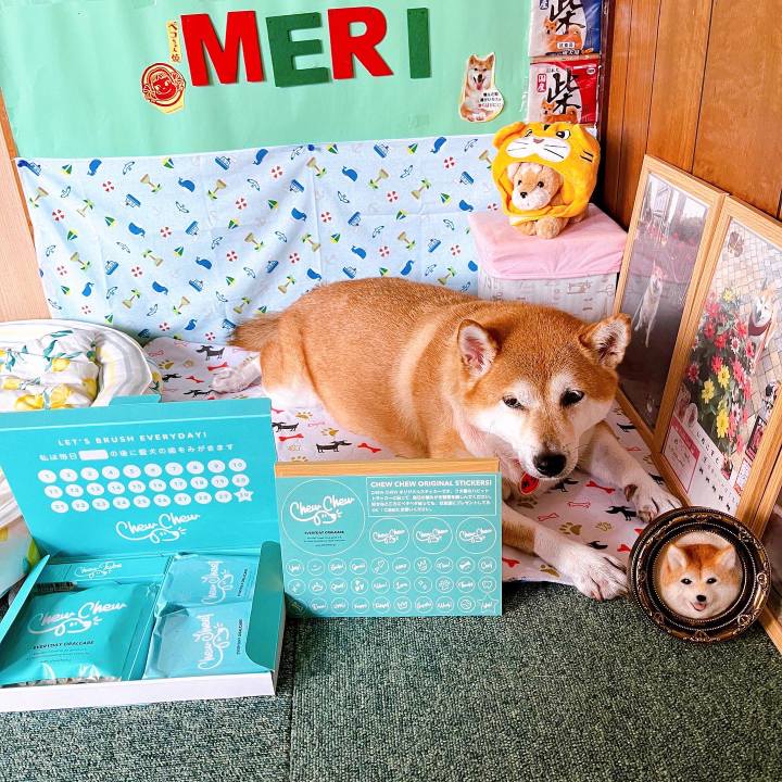 94a273cf 7b0c 49f6 82f3 8870fe913445 1662183610481