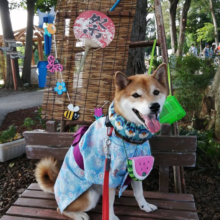 94a279d9 d062 40e9 a1c0 d1acff99a12f 1692892501100